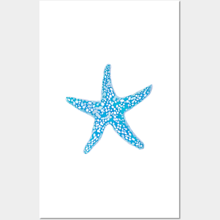 Starfish, Aqua Blue Posters and Art